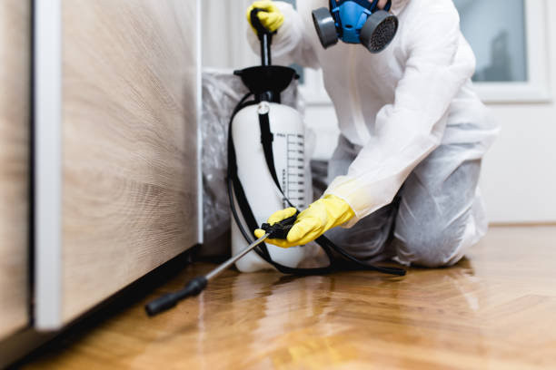Best Wasp Removal Services  in Raubsville, PA
