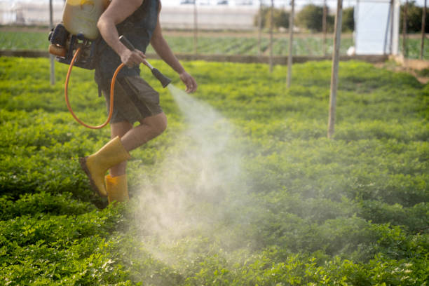Best Mosquito Control Services  in Raubsville, PA