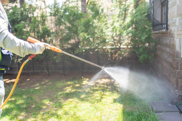 Best Termite Control Services  in Raubsville, PA