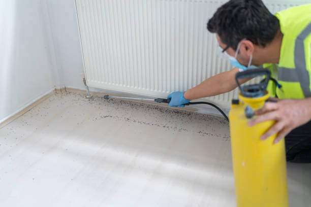Best Pest Removal Services  in Raubsville, PA